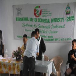 International Day for Biological Diversity North District 2015