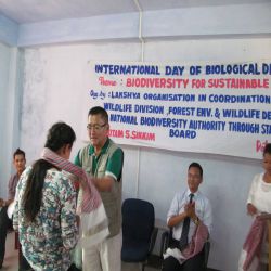 International Day for Biological Diversity South District 2015